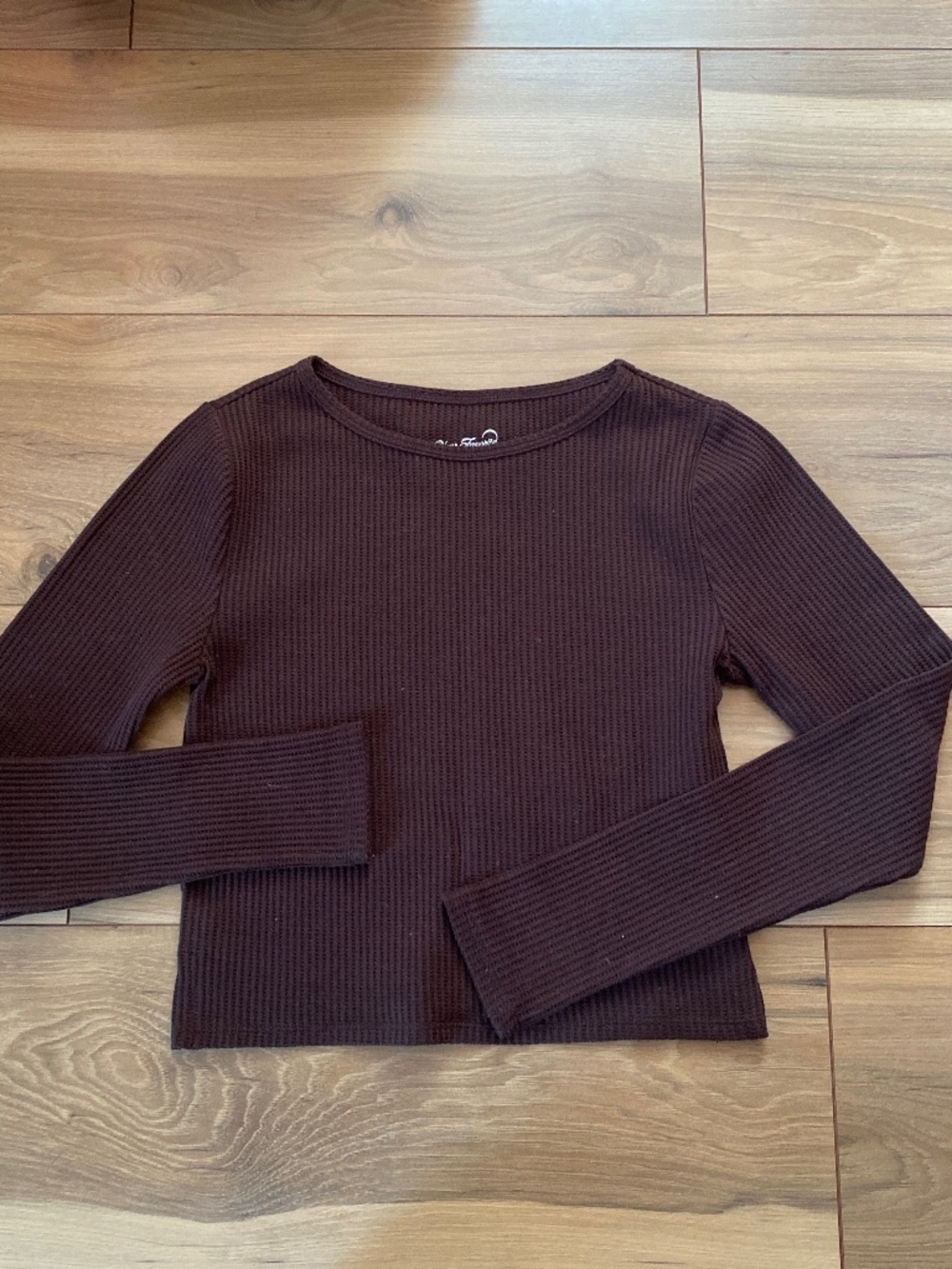 PacSun cropped long sleeve